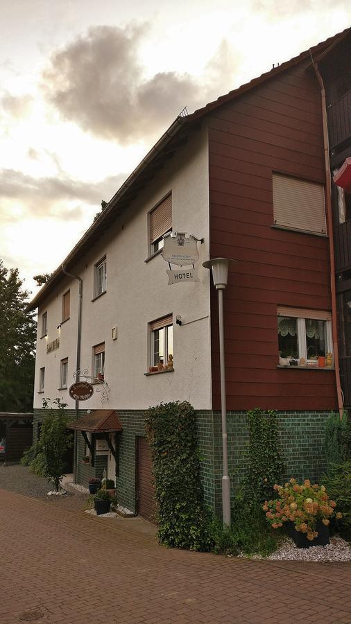 Landhotel Alte Muehle Modautal Exteriör bild
